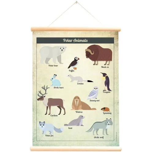 Poster With Hanger Polar Animals
