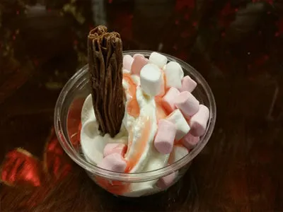 Small Ice cream machine with 100 servings